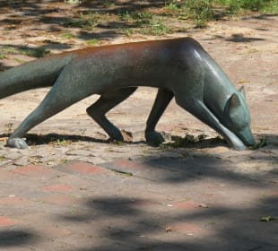 Will der Fuchs im Kurpark Gans und Ganter holen?