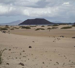 Naturpark bei Corralejo
