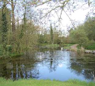 Lago del parque
