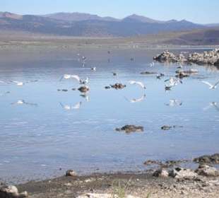 Mono Lake