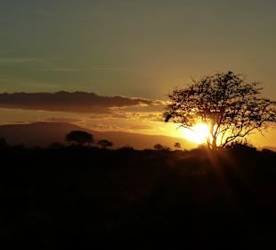 Tsavo Ost Nationalpark