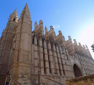 Kathedrale La Seu in voller Pracht, März 2017
