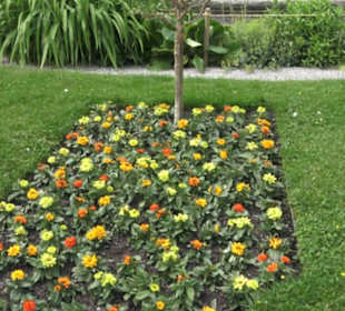 Heimatschutzzentrum in der Villa Patumbah