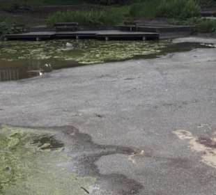 Millerntorspeier - Große Wallanlagen