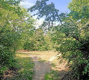 Wandern Lido di Savio