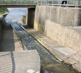 Dorfrundgang Wienhausen 