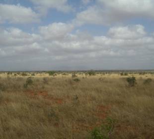 Tsavo Ost