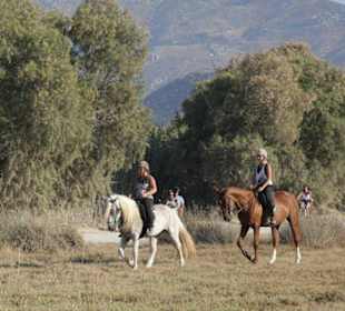 Outside of the salt lake