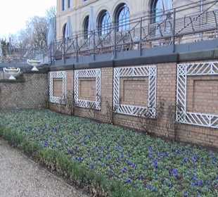 Flora und Botanischer Garten Köln