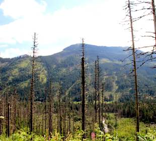 Weg- Meeresauge Zakopane. 