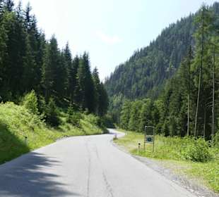 Die Straße beginnt sanft in grüner Umgebung