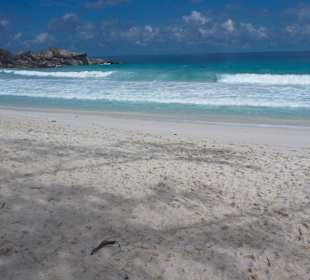 Strand von Grand L Anse