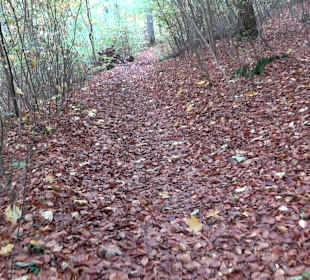 Wandertour "Rund um den Rossberg" Öschingen