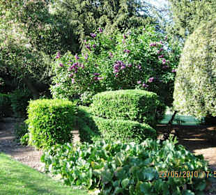 Abbey Park (Park (rezerwat, zoo, safari, itd.))