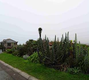 Minack Open Air Theatre