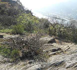 Steile Felsen am Abgrund