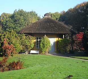 Herbstspaziergang durch den Schlosspark Lütetsburg