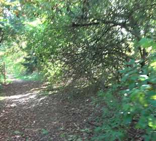 Baumlehrpfad Zollertal