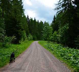 Weg zum Domberg - breit und gepflegt