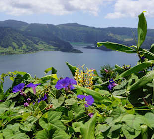 Blick vom Kraterrand