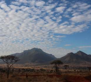 Tsavo West