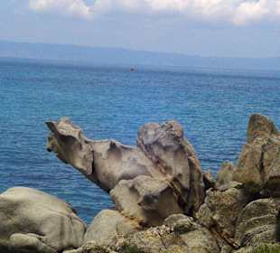 Entdeckt bei unserer Tour über die Felsen