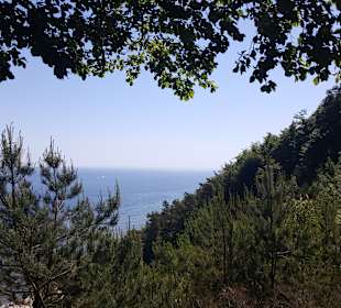 Wanderung in der Nähe