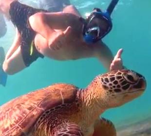 Schnorcheln Makadi Bay