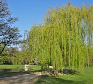 Impressionen vom Spaziergang durch den Kurpark