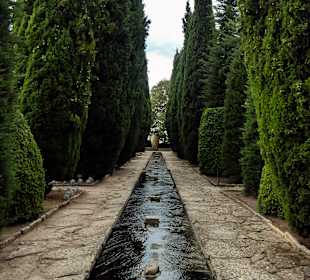 Botanischer Garten Baltschik