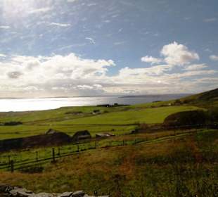 Weiden und Bucht in fahlem Licht