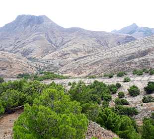 Inseltour Porto Santo