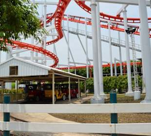 Dreamworld Bangkok