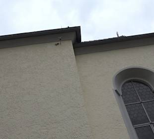 Pfarrkirche Maria Immaculata Unlingen