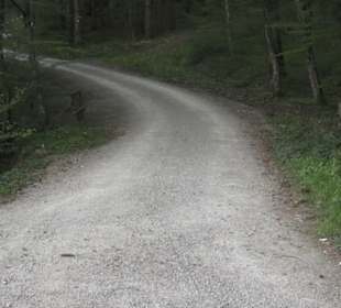 Wanderweg Firstwaldrunde