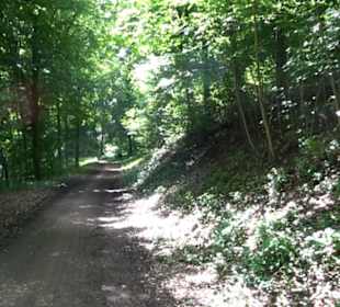 Premiumwanderweg "hochgelegen"