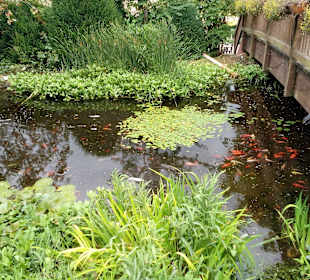 Schwabenpark in Welzheim