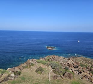 Ausblick von der Burg