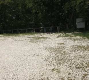 Burg Wäscherschloss