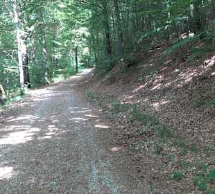 Waldlehrpfad in Tieringen