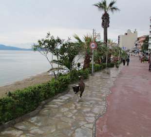 Kleine Promenade nähe Hotel Grand Blue Sky