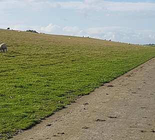 Wattwanderung Cuxhaven