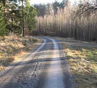 Wanderung rund um den Ochsenweiher