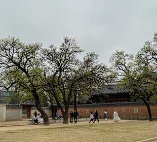 Gyeongbokgung Palace