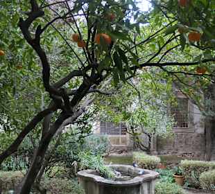 In den Klostergärten von Valldemossa
