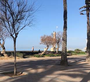 Strandpromenade Playa/Platja de Palma