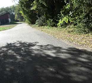 Parkanlage Brühlweg Riedlingen