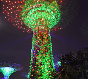 Lichtershow im Gardens by the Bay