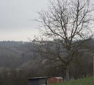 Unterjesinger Wengertwegle