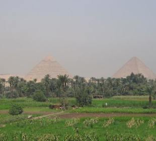 Ausblick auf die Pyramiden von Gizeh